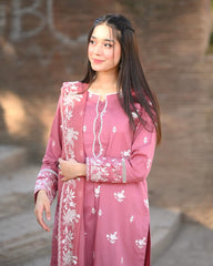 NAZNEEN EMBROIDERY 3PC - Stylosefashion