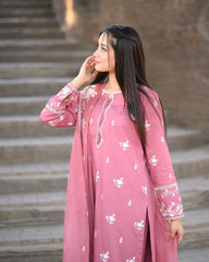 NAZNEEN EMBROIDERY 3PC - Stylosefashion
